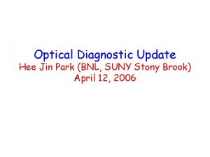 Optical Diagnostic Update Hee Jin Park BNL SUNY