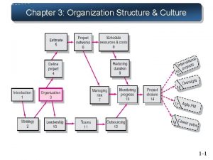 Chapter 3 Organization Structure Culture 1 1 Project