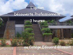 Loption Dcouverte Professionnelle 3 heures au Collge Edouard