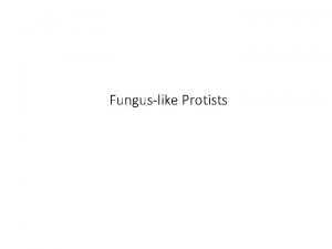 Funguslike Protists Funguslike protists are protists that get
