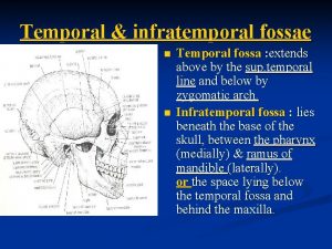 Temporal infratemporal fossae n n Temporal fossa extends