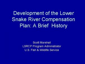 Development of the Lower Snake River Compensation Plan