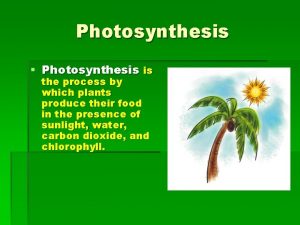 Photosynthesis Photosynthesis is the process by which plants