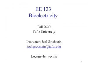 EE 123 Bioelectricity Fall 2020 Tufts University Instructor