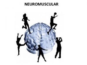 NEUROMUSCULAR Sistema Nervoso Central Crtex Motor Cerebelo Ncleos