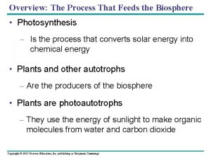 Overview The Process That Feeds the Biosphere Photosynthesis