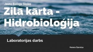 Laboratorijas darbs Rebeka rstia Vveidgie Crustacea Laboratorijas darbs