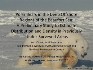 Polar Bears in the Deep Offshore Regions of