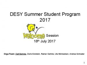 Desy summer student program