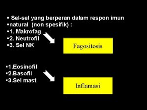 Selsel yang berperan dalam respon imun natural non