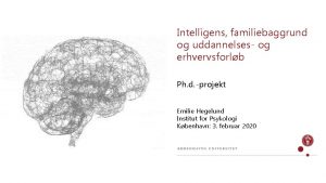 Intelligens familiebaggrund og uddannelses og erhvervsforlb Ph d