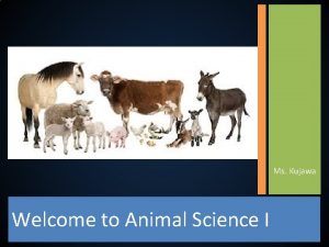 Ms Kujawa Welcome to Animal Science I Agriculture