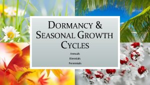DORMANCY SEASONAL GROWTH CYCLES Annuals Biennials Perennials DORMANCY