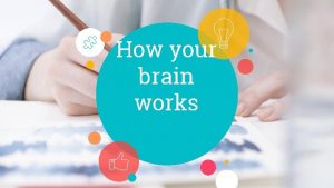 How your brain works Parts of Your Brain