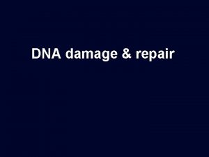 DNA damage repair DNA damage and repair and