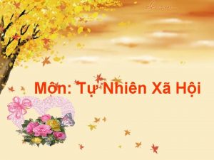 Mn T Nhin X Hi T NHIN V