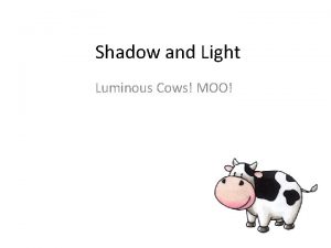 Shadow and Light Luminous Cows MOO Shadow and