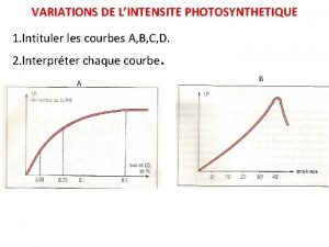 VARIATIONS DE LINTENSITE PHOTOSYNTHETIQUE 1 Intituler les courbes