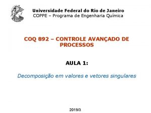 Universidade Federal do Rio de Janeiro COPPE Programa