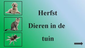 Herfst Dieren in de tuin Ook dieren hebben