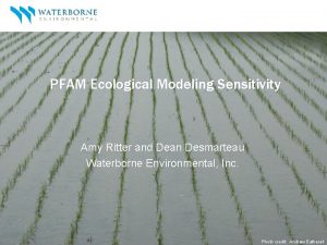 PFAM Ecological Modeling Sensitivity Amy Ritter and Dean