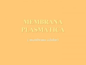 MEMBRANA PLASMATICA membrana celular MEMBRANA PALASMATICA Concepto modelo