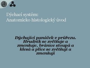 Dchac systm Anatomicko histologick vod Dchajc panek v