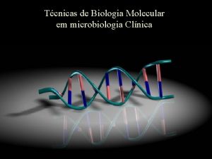 Tcnicas de Biologia Molecular em microbiologia Clnica Polymerase