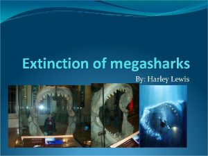 Extinction of megasharks By Harley Lewis Main question