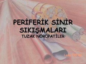 PERFERK SNR SIKIMALARI TUZAK NROPATLER Lena ERTA PERFERK