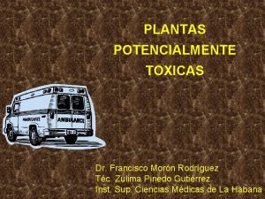 PLANTAS POTENCIALMENTE TOXICAS Dr Francisco Morn Rodrguez Tc