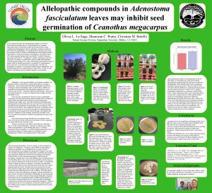 Allelopathic compounds in Adenostoma fasciculatum leaves may inhibit