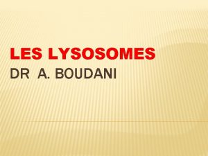 LES LYSOSOMES DR A BOUDANI Les lysosomes sont