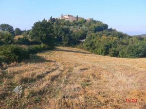 15 00 di Ciolo Lettera 44 Con desiderio