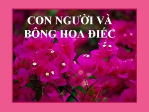 CON NGI V BNG HOA IC Mi con