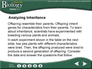 Section 11 1 Analyzing Inheritance Offspring resemble their