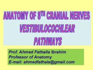 Prof Ahmed Fathalla Ibrahim Professor of Anatomy Email