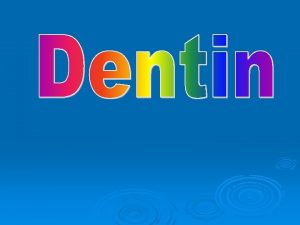 Dentin forms the main bulk of the tooth