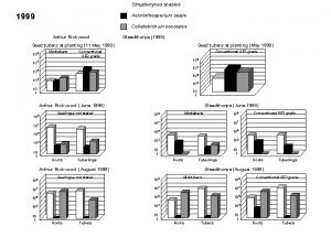 Streptomyces scabies 1999 Helminthosporium solani Colletotrichum coccodes Arthur