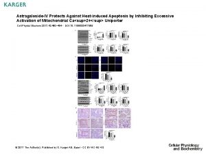 AstragalosideIV Protects Against Heatinduced Apoptosis by Inhibiting Excessive