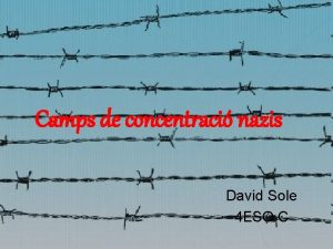 Camps de concentraci nazis David Sole 4 ESO