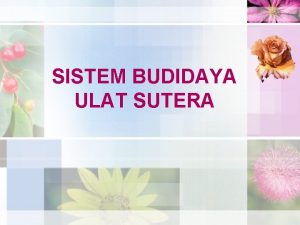 SISTEM BUDIDAYA ULAT SUTERA Kelompok 12 Ratu Tintin