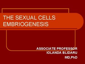 THE SEXUAL CELLS EMBRIOGENESIS ASSOCIATE PROFESSOR IOLANDA BLIDARU