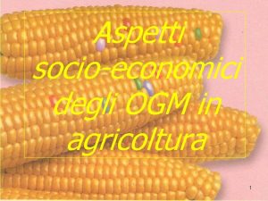 Aspetti socioeconomici degli OGM in agricoltura 1 PREMESSA