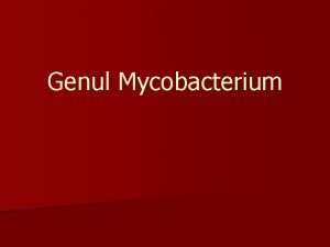 Genul Mycobacterium n Bacilul tuberculos a fost descoperit