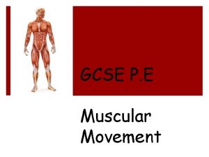 GCSE P E Muscular Movement CEPS CEPS D