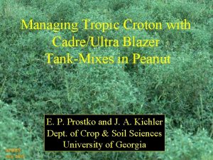 Managing Tropic Croton with CadreUltra Blazer TankMixes in