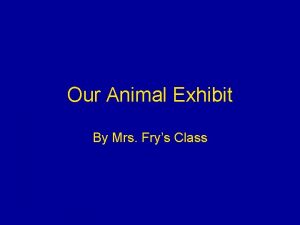 Our Animal Exhibit By Mrs Frys Class Arctic