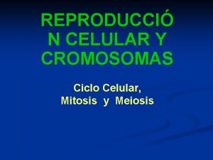 REPRODUCCI N CELULAR Y CROMOSOMAS Ciclo Celular Mitosis