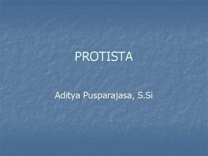 PROTISTA Aditya Pusparajasa S Si PROTISTA n n